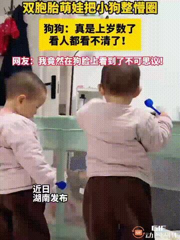 笑不活了！湖南一对双胞胎去找小狗玩耍，谁料小狗看见他们后，顿时瞪大了眼睛，已经被