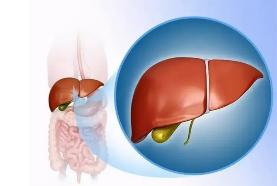 中国第一大慢性肝病，比乙肝更普遍！它更偏爱年轻人？ 中国第一大慢性肝病已