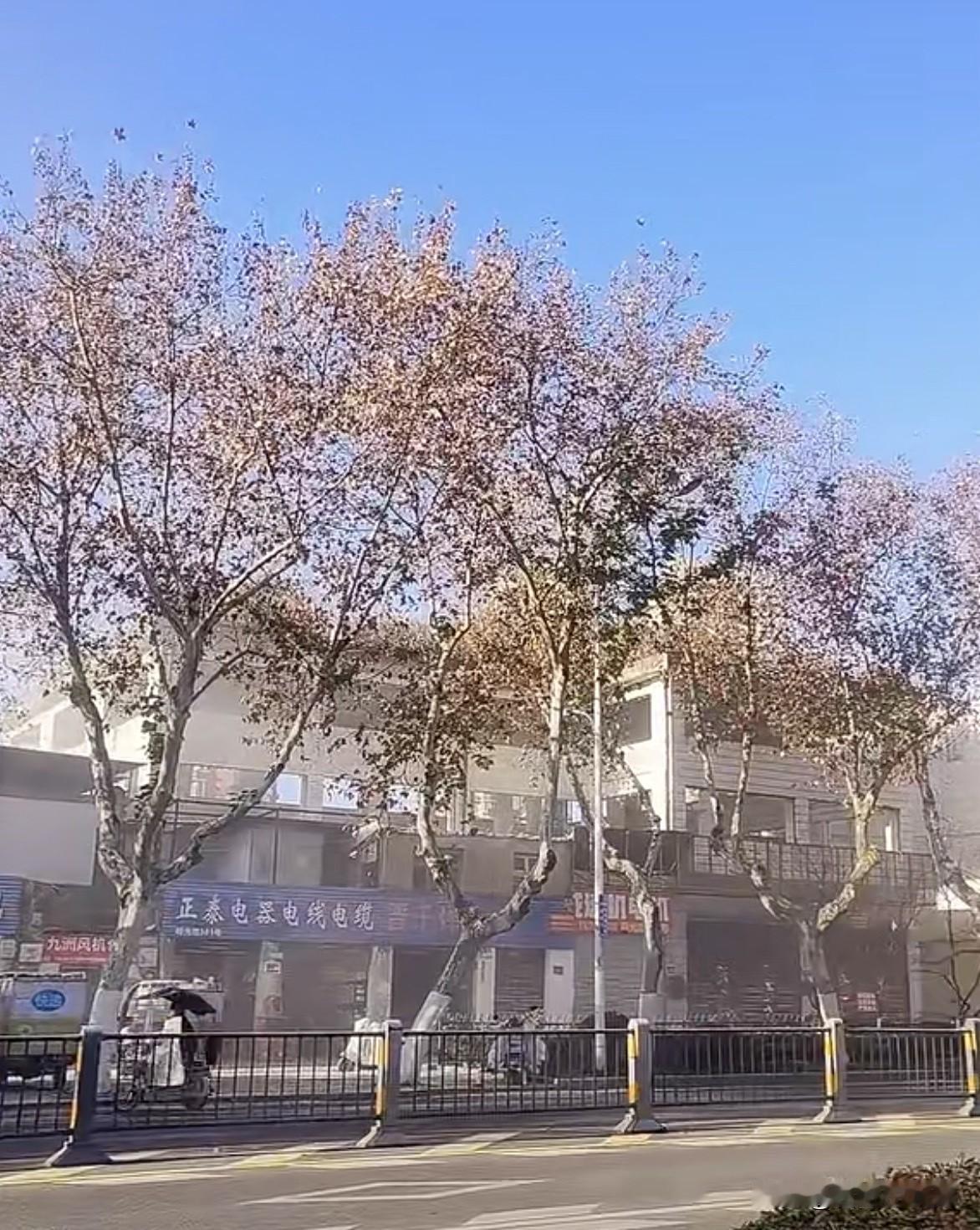 2026年，合肥主城更新按下“加速键”！瑶海区明光路机械机电大市场正式启动拆迁工