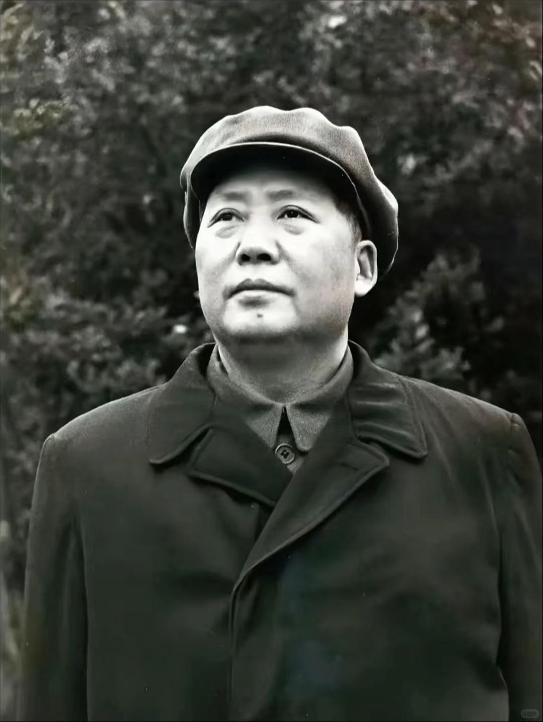 长子牺牲:“打仗总是要死人的……岸英的牺牲也是光荣的！不要因为他是我的儿子，就把