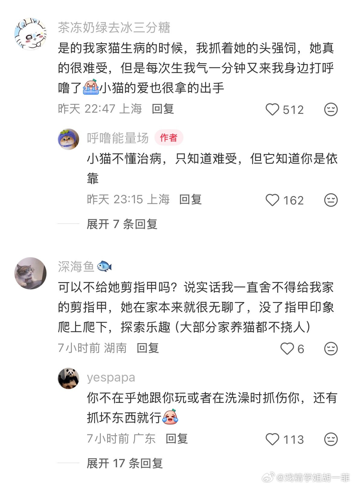 深深的感觉到猫咪真的很大度