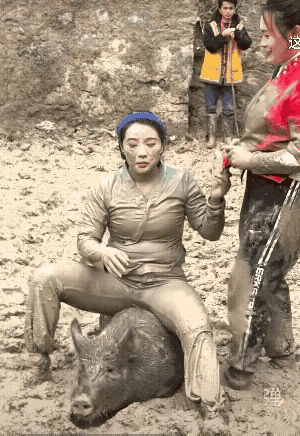 世上两大按不住：生气的媳妇，过年的猪。今天算是碰到一起了，一个按不住，一个有骄脾