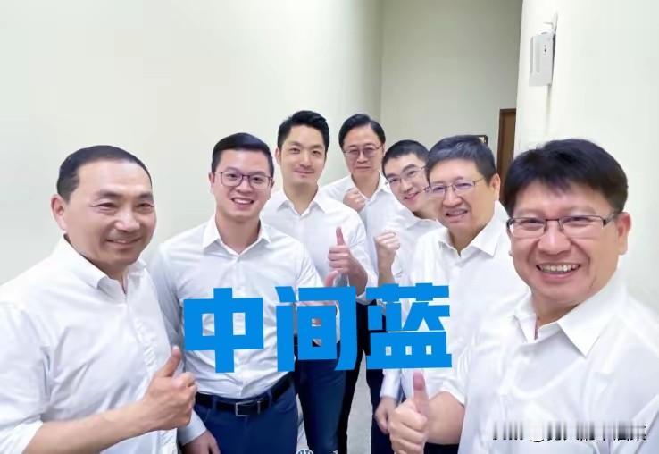 前两天网上就传，国民党内部支持某个人有统一暗号，就是没说具体是啥。今天可算搞明白