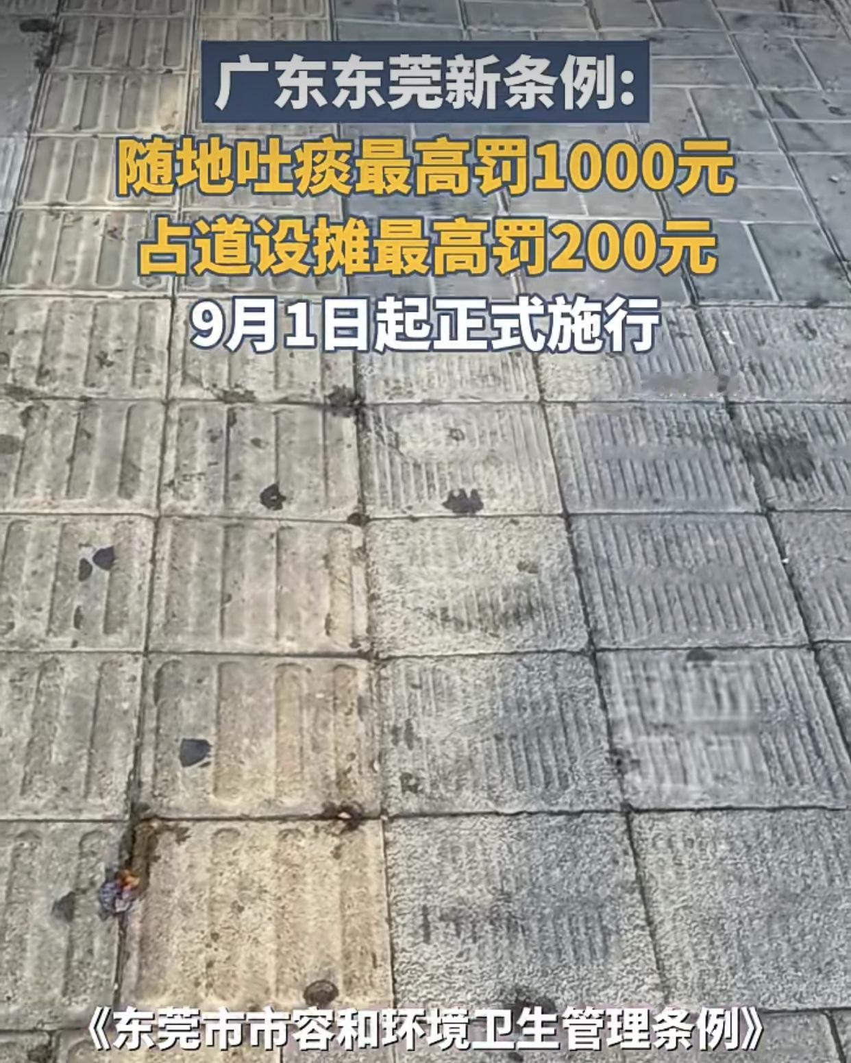 东莞这次是要向香港看齐了！东莞9月1日城市管理新条例出台，随地吐痰、便溺最高可