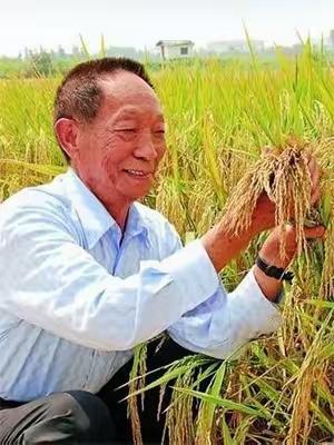 1994年袁隆平递报告申请一千万科研经费，李鹏当场签字批准，一年后却笑问道：你咋