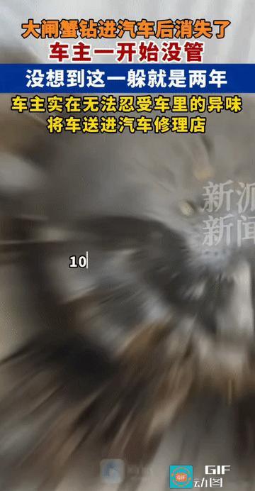 “这是真没招了!”江苏,一车主将大闸蟹放在车里后,不知什么原因,大闸蟹竟“越狱”
