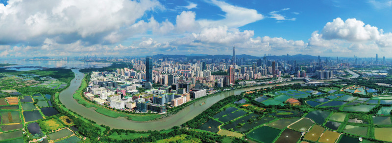 很多人把深圳的增长归因于创新和龙头企业，但还有一个逻辑在于：深圳始终嵌入全球需求