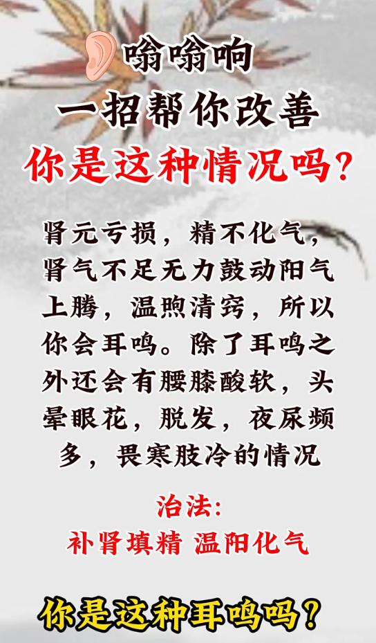耳朵总嗡嗡响还腰膝酸软？中医解析肾气不足型耳鸣