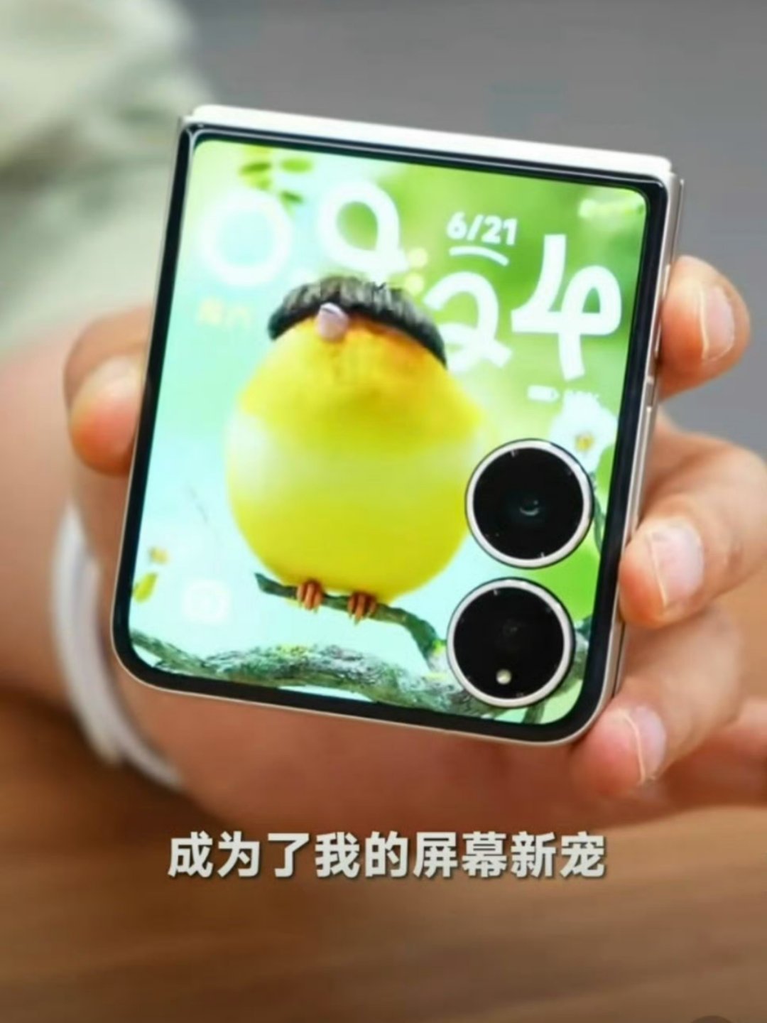 手机外屏当萌宠不奇怪，但是这么百变可爱的那可能就得小米了，没想到连卢总都被种草养