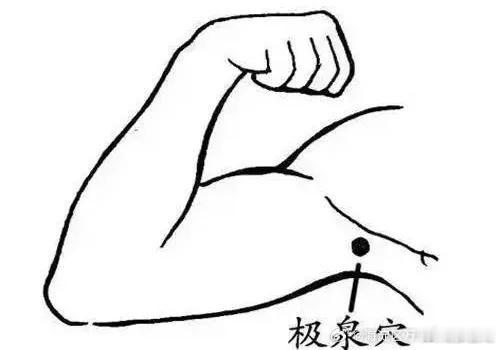 40天超长三伏天来了穴位养生（极泉穴（见图）定位：位于腋窝顶点，腋动脉搏动处。操