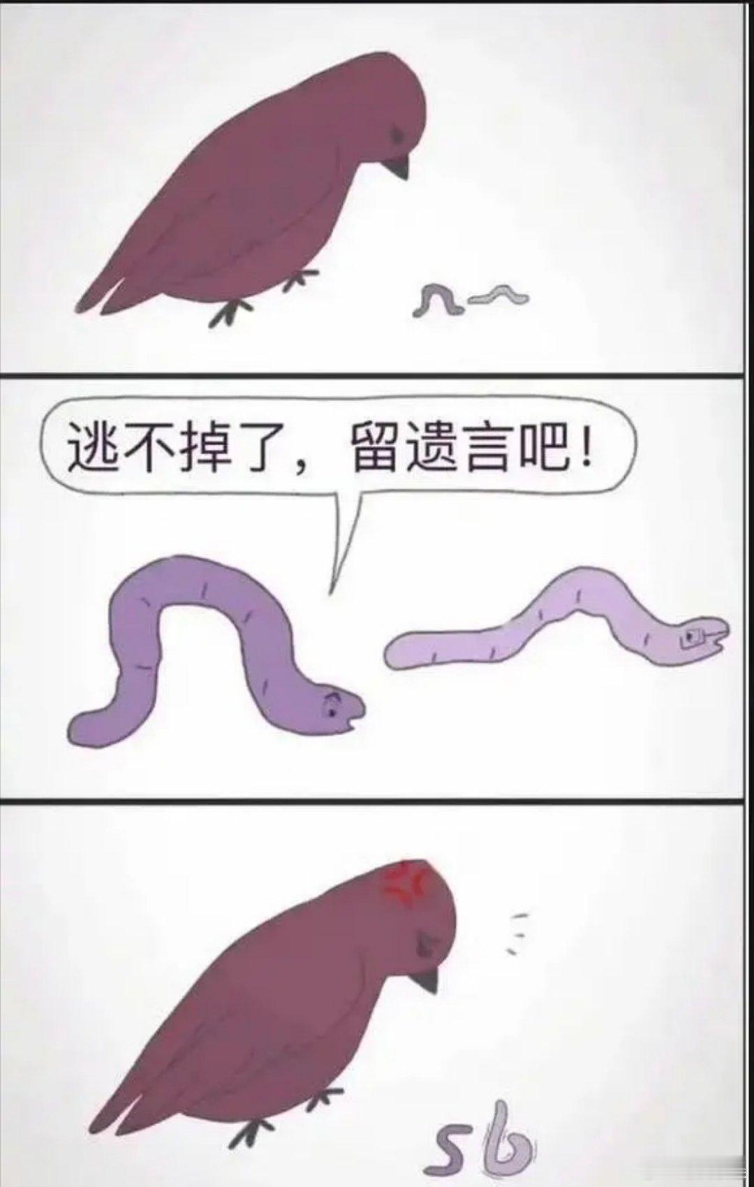 虫子🐛最后的硬气