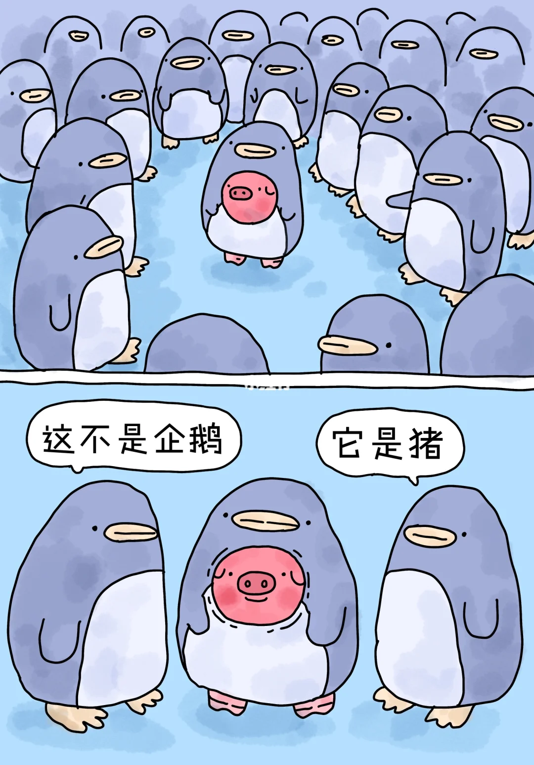 猪猪躲到南极去了