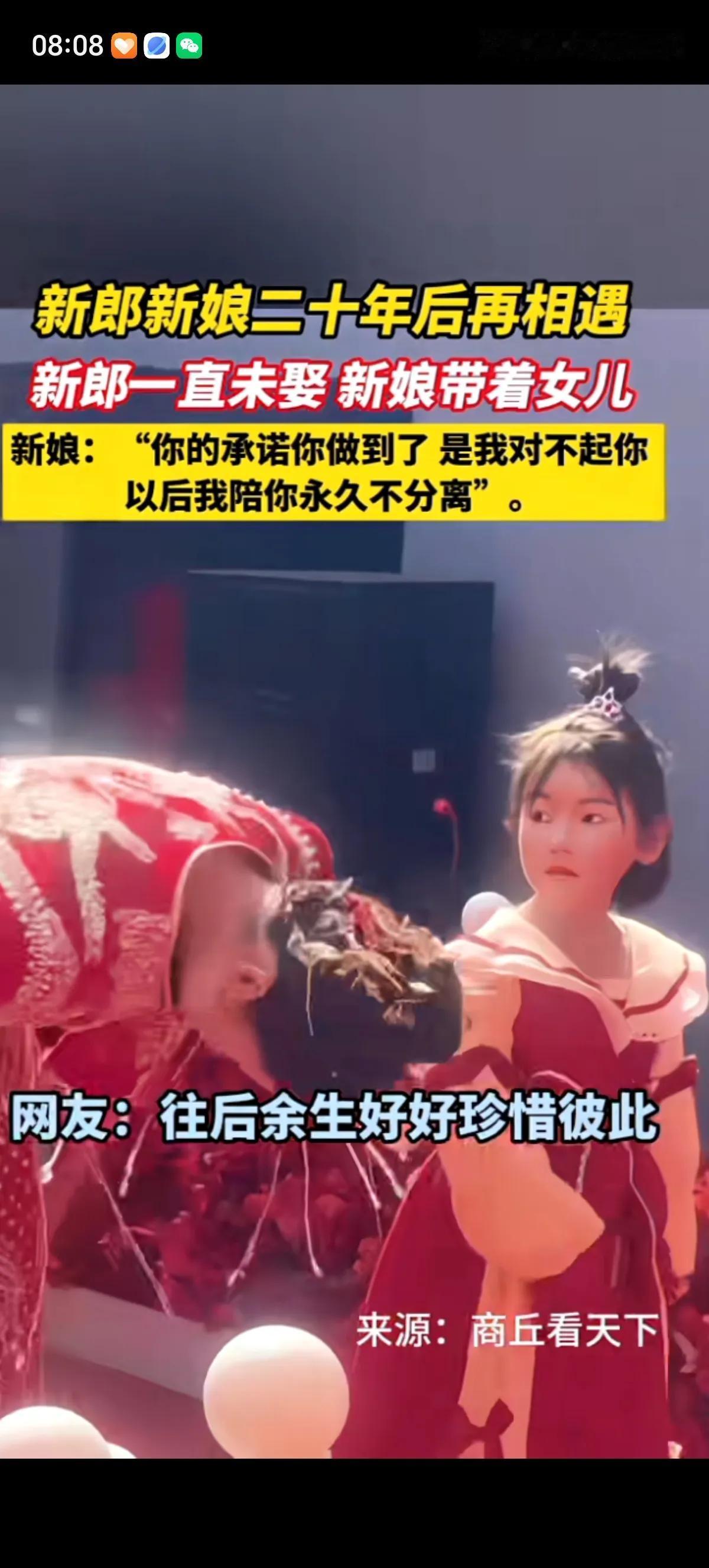 新郎和新娘二十年前就认识，可惜没能在一起。二十年后新娘离婚了，带着自己的女儿和新