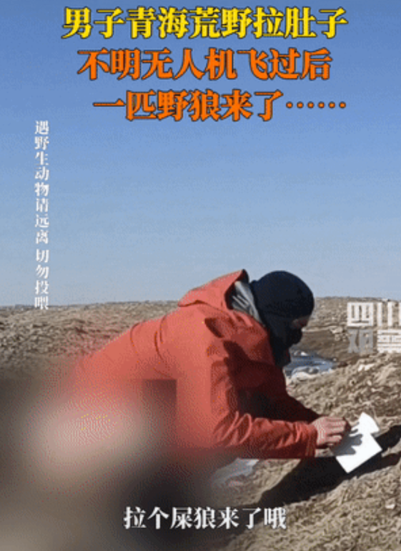 太惊险了！青海玉珠峰戈壁滩，阿智和队友在徒步途中突然肚子痛，野外没有厕所，他们就