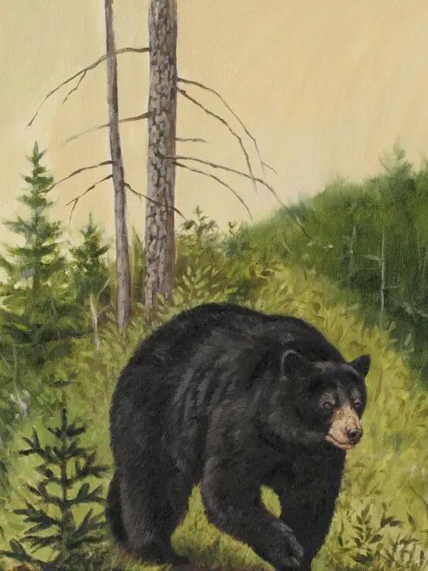 清朝光绪年间，山西太行山脚下，货郎刘三瘸着腿敲开了猎户张老三的院门。他绝不会想到