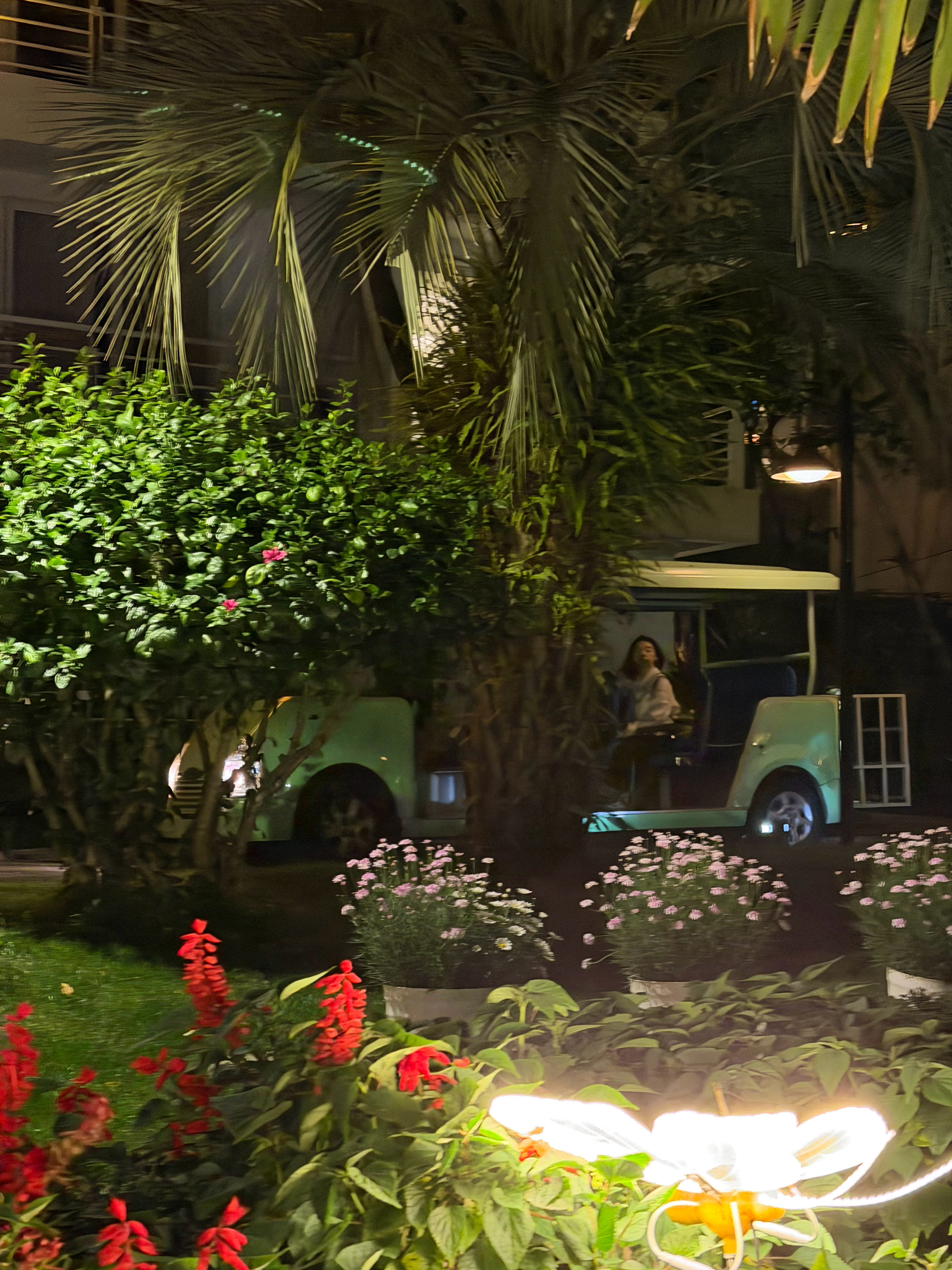 我是一个燃油车爱好者，但是我不反对电动车因为电动车在某些场景真的挺合适的。比如这