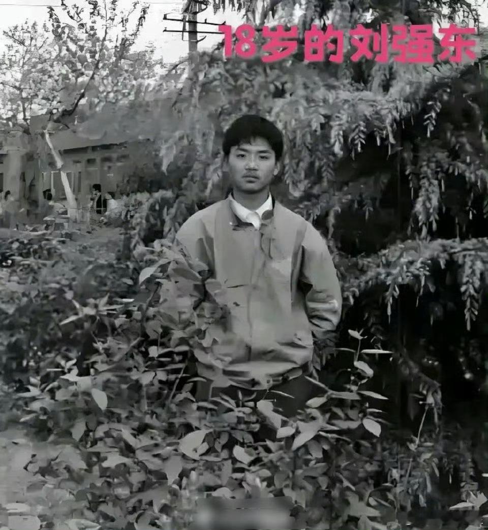 18岁的刘强东 vs 18岁的章泽天 ​