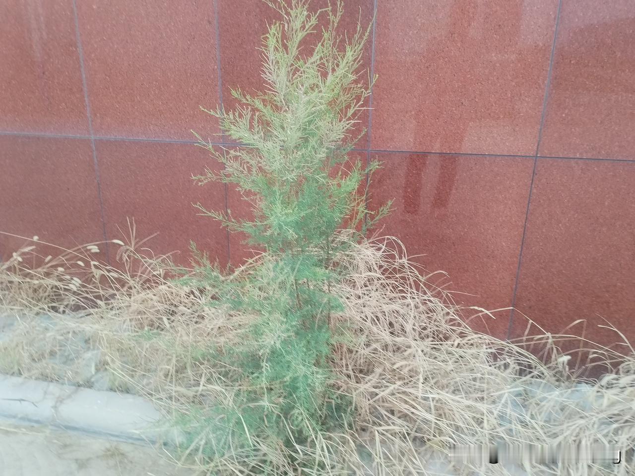 格力集团董明珠在国家面临高端机床进口受限的危难时刻，带领企业研发五轴机床顶了上去