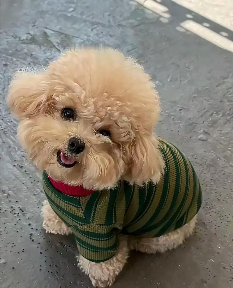 舅舅与舅妈离婚后，舅舅得了脑梗。父母离婚后看孩子跟谁，父亲进哺养义务没有，给生活