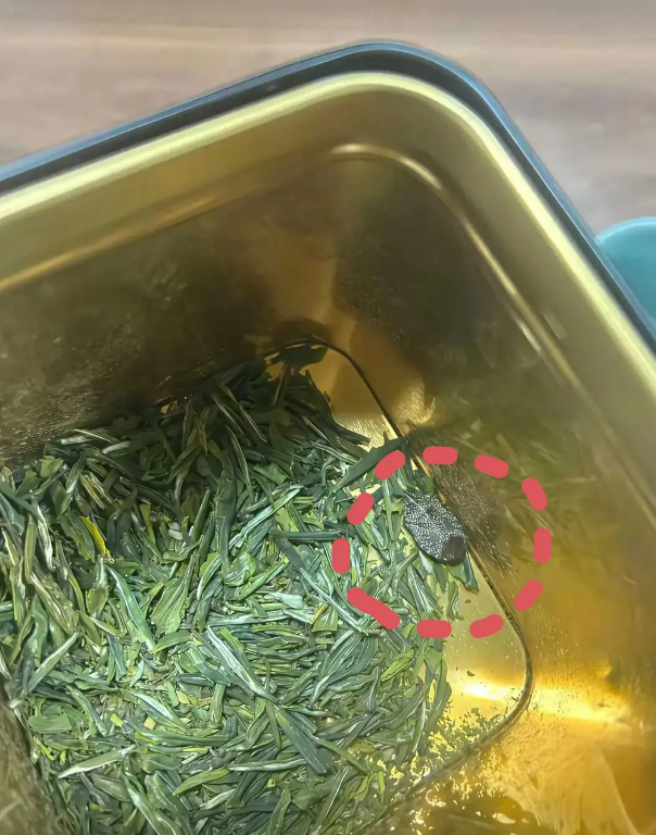 不然，这茶怎么那么香呢？
