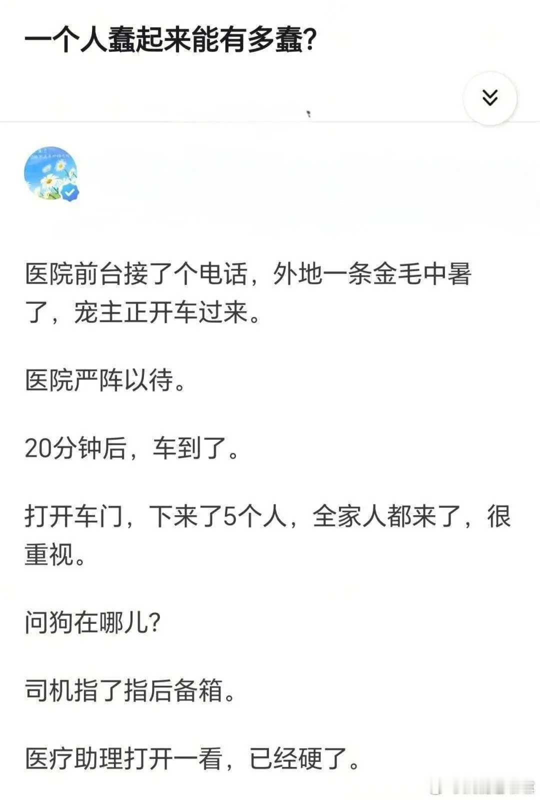 金毛上辈子造了什么孽啊？[捂脸哭][捂脸哭][捂脸哭]​​​