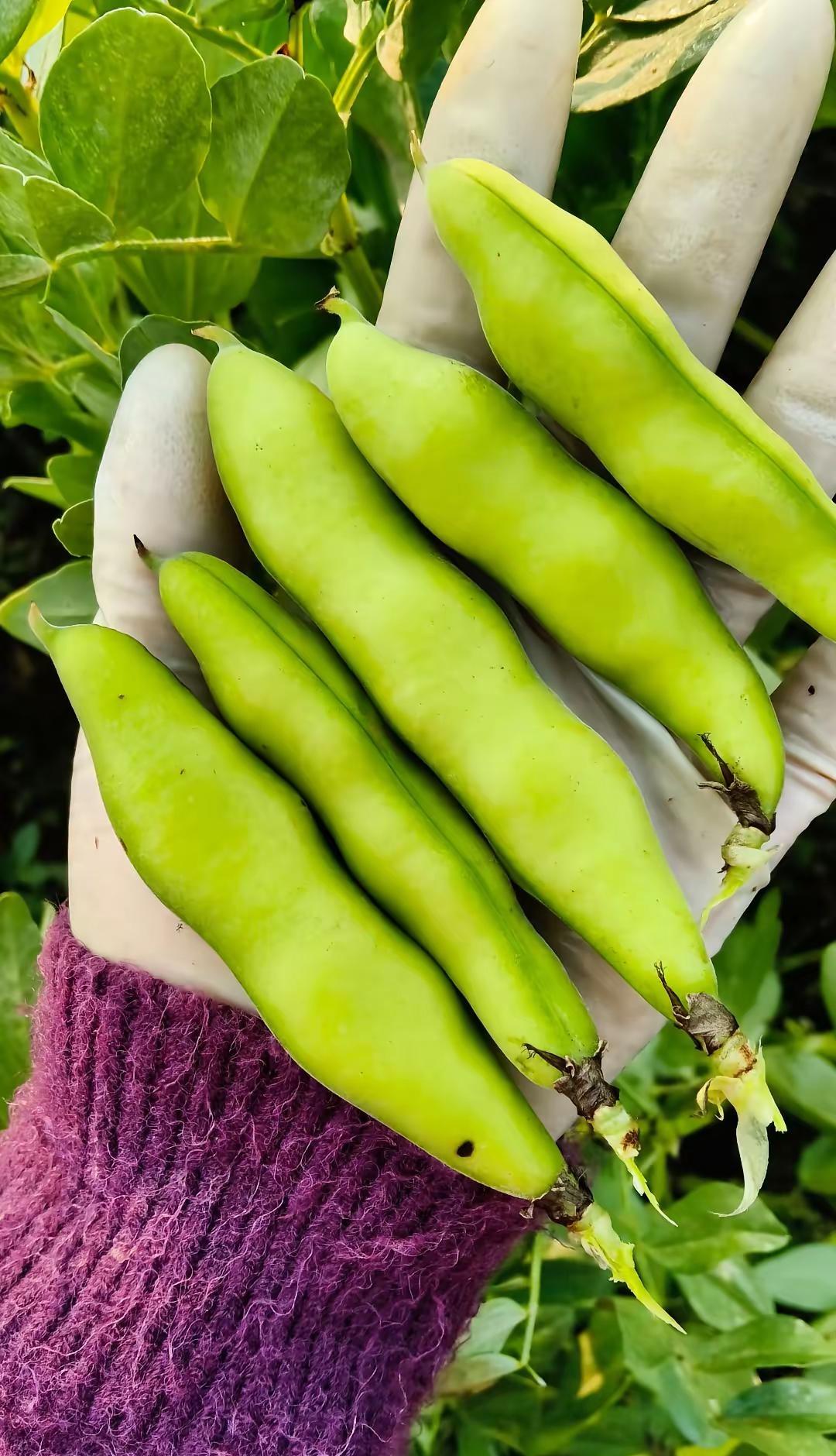 这是变异啦？才稀奇捏