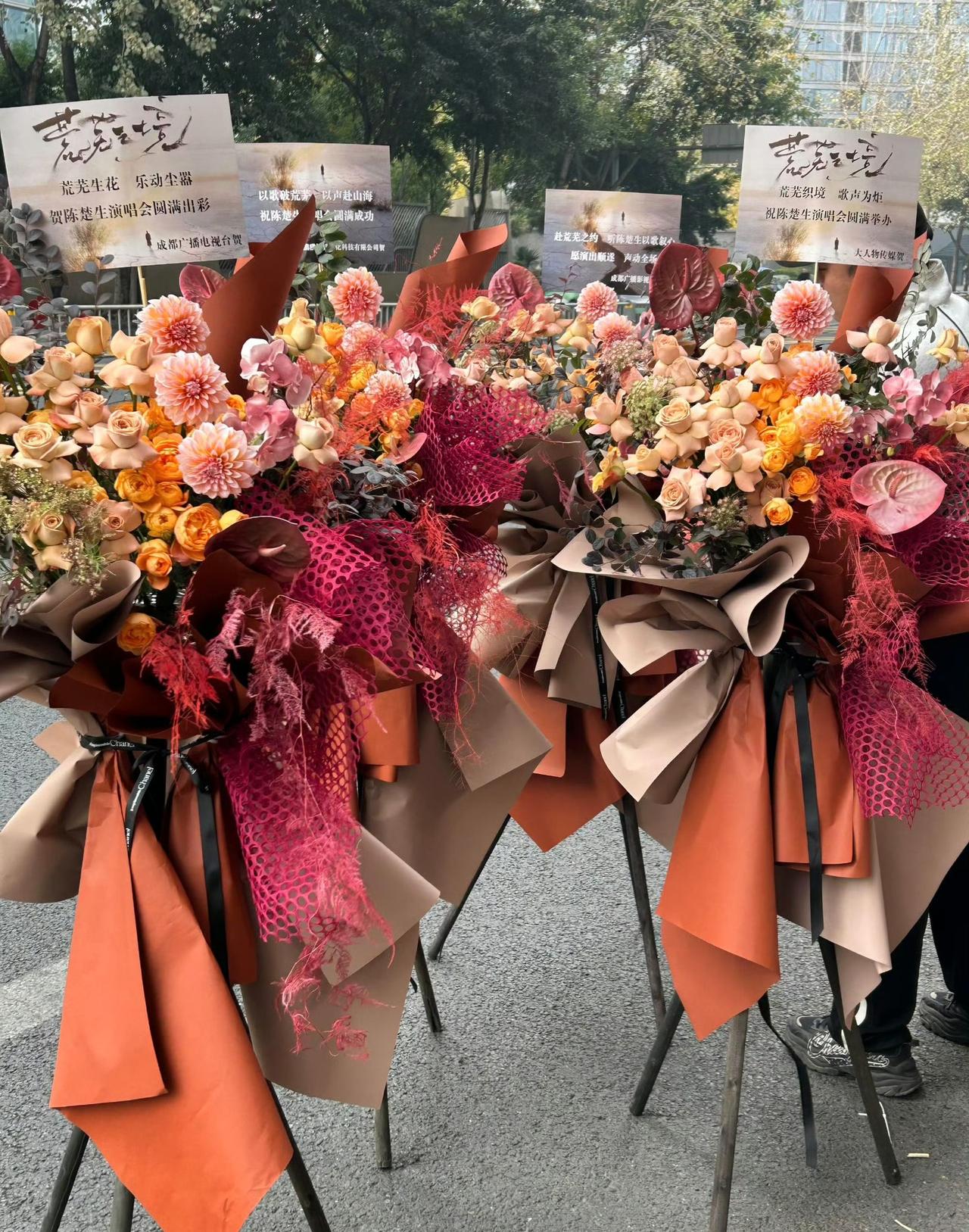 看看咱生哥的排面，成都广播影视集团和广播电视台等单位为“陈楚生2025荒芜之境巡