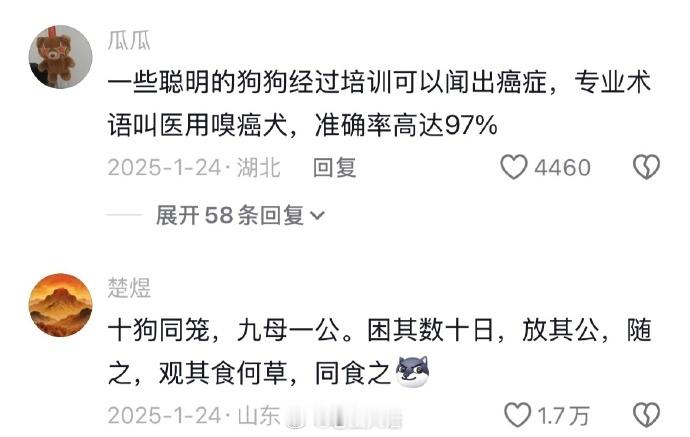 原来狗子们都自带中医系统啊哈哈哈哈哈哈哈哈