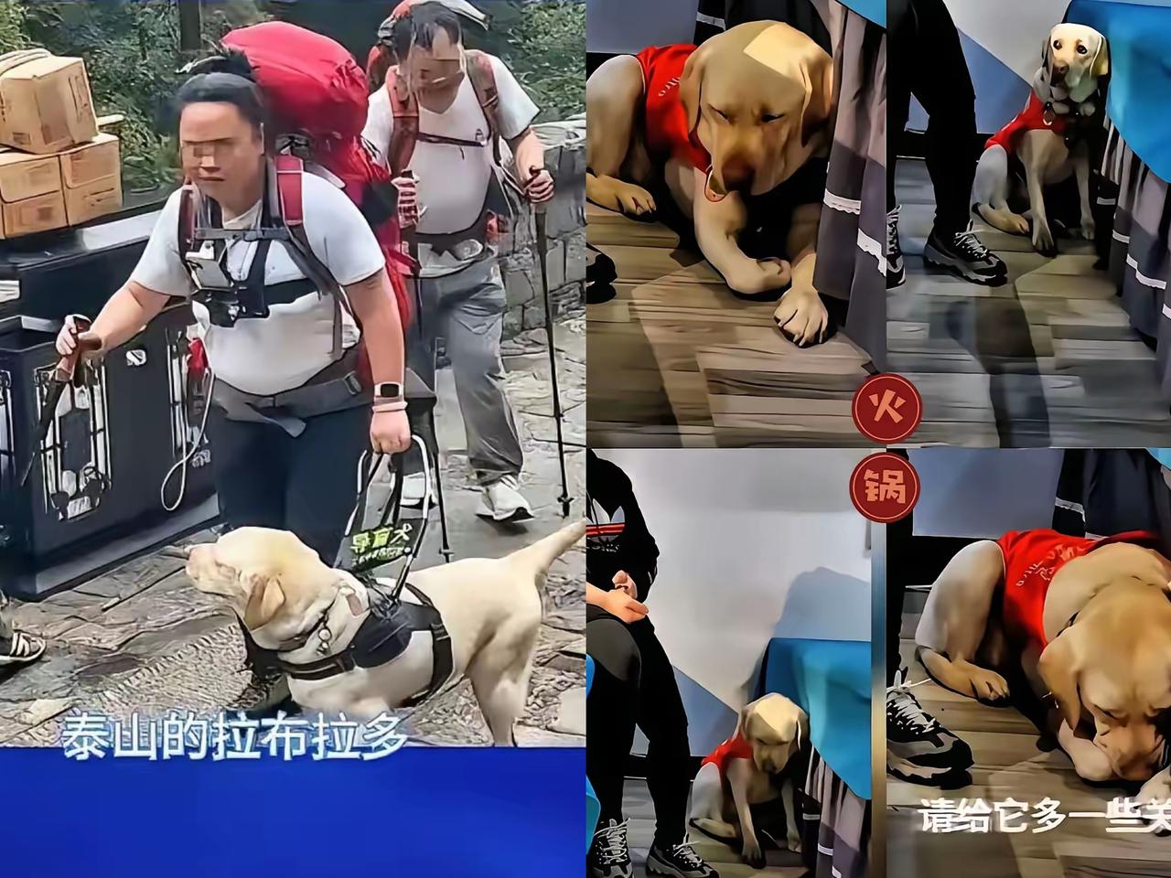 爬泰山后续来啦！王女士竟然失业了，没办法只能从北京回吉林老家。她喊冤呢，觉得自