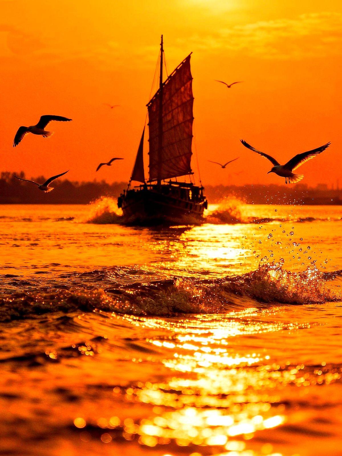 人到中年的两难！他每天天不亮就出门，披着星星回家，就把那点辛苦钱全都交出去，填