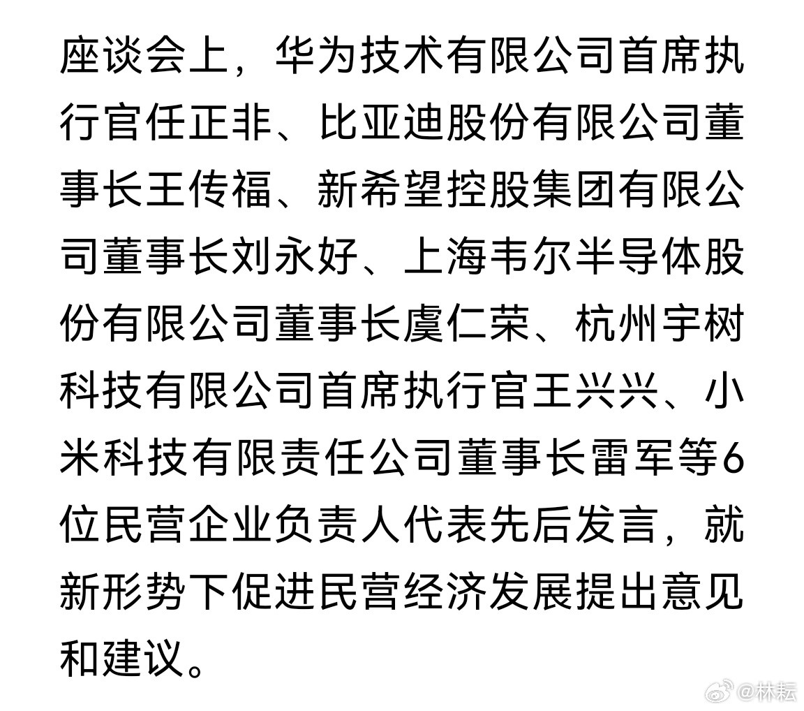 座谈会上，华为技术有限公司首席执行官任正非、比亚迪股份有限公司董事长王传福、新希