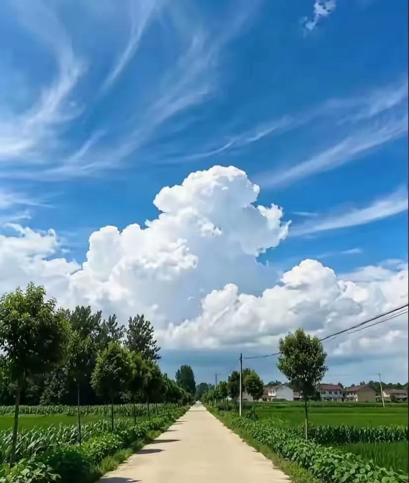 提前通知一下，大家好有个心理准备。今天8月21号，已是末伏第八天了，而且今年的中