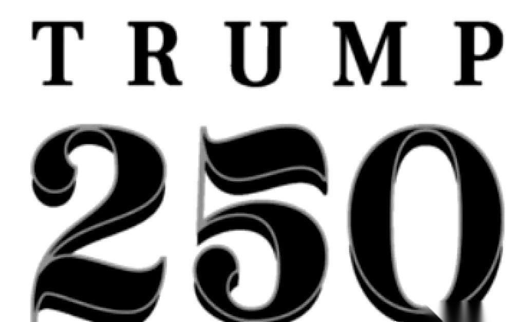 据说，特朗普的桌上放着一份剧本。一张A4纸，密密麻麻，从1月排到11月，目标是