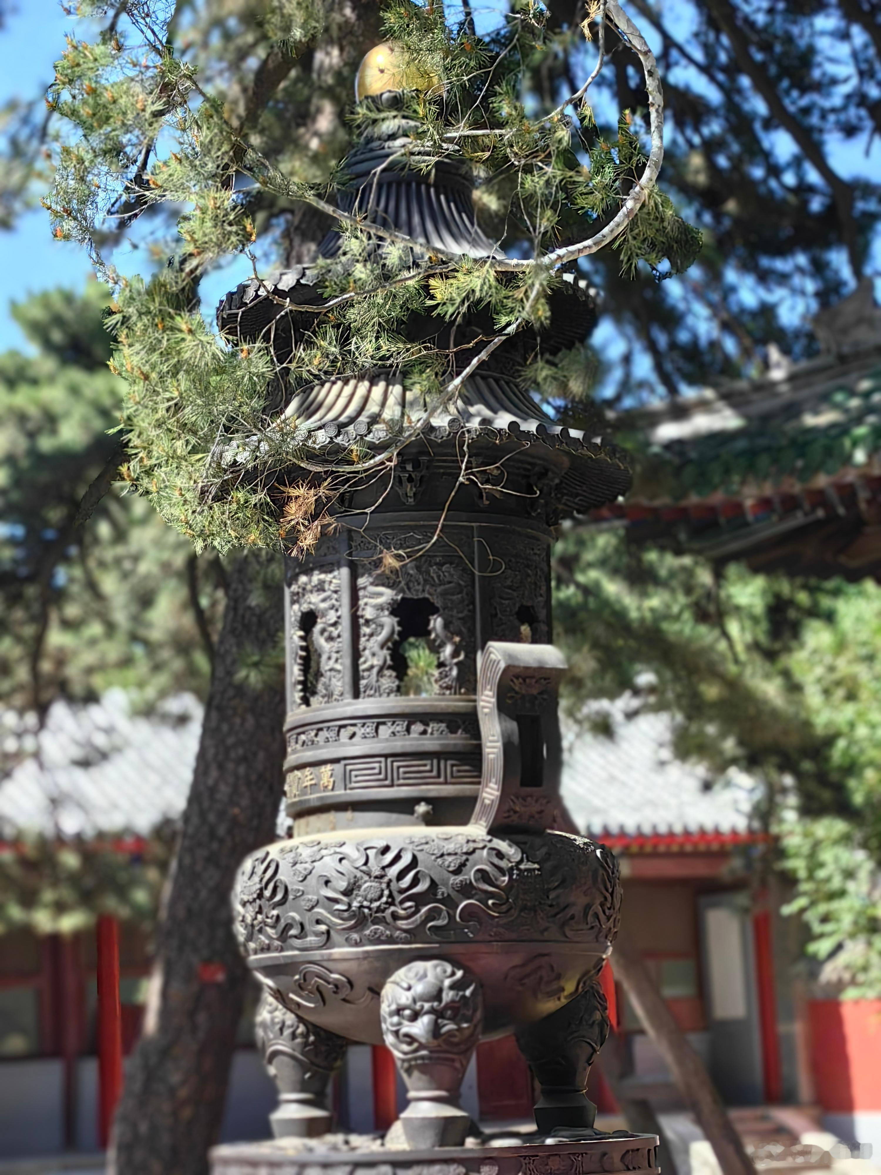 阳光普照下的戒台寺摄影​​​