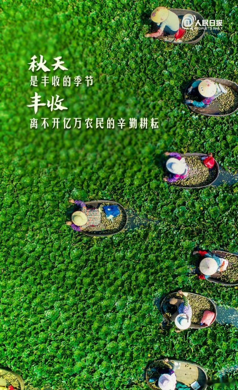 早安早安心语早安,新的一天早安心语超话治愈不开心人生感悟人生微语每天说早