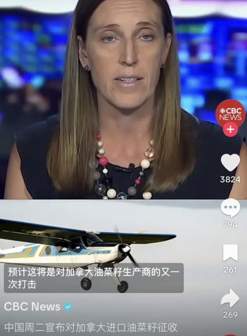 加拿大对华电动汽车征收100%关税8月12日，中国反制加拿大菜籽油100%关税