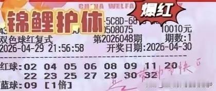 双色球大揭秘：胆拖与复式谁的中奖概率更高？在双色球的缤纷世界里，胆拖投注法和