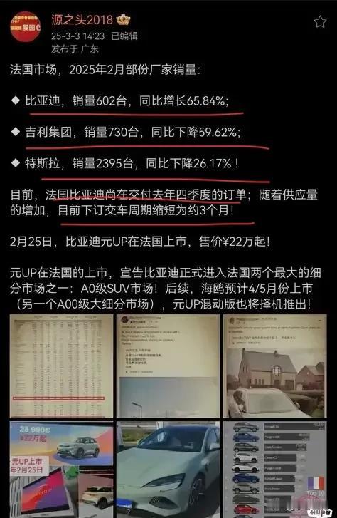 比亚迪这到底是抢了谁的市场？来自源之头数据，比亚迪2月法国销量602台，同比增