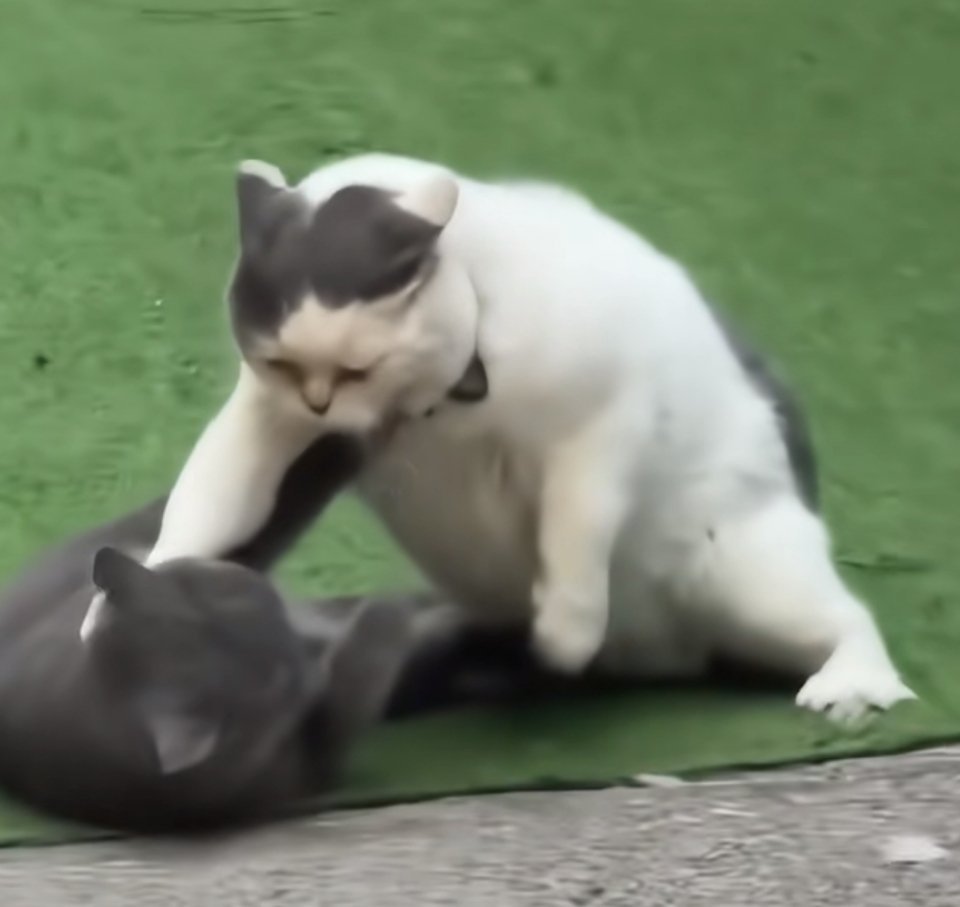 我忍你很久了！