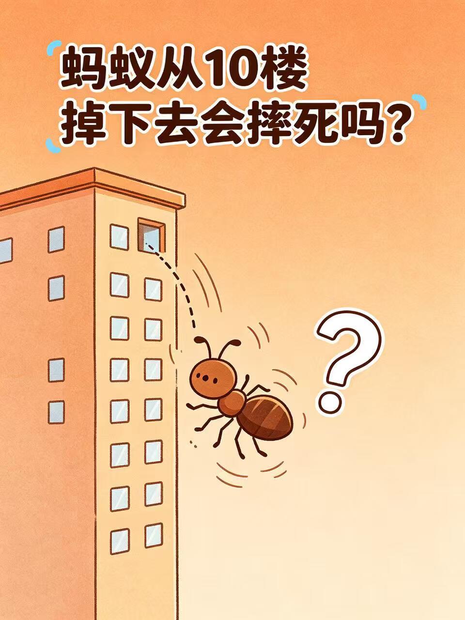 蚂蚁从10楼掉下去会摔死吗？把蚂蚁从10层楼扔下去，它会摔死吗？🐜答案：不会