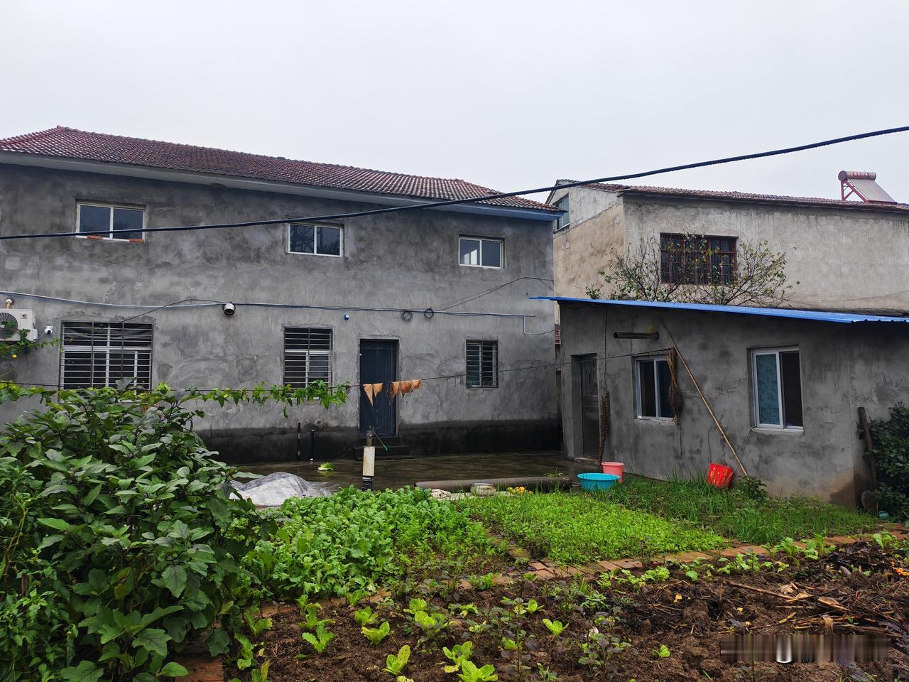 屋里装修跟商品房一样，屋后是菜园、小池塘和鸡窝。另外还建有小仓库。门前不远是柏油