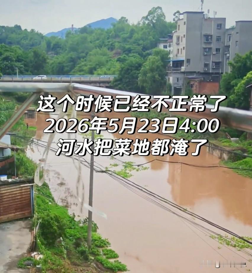 重庆暴雨事件。23号下午4点：永州天气明显不正常了，河水涌入，菜地被淹。