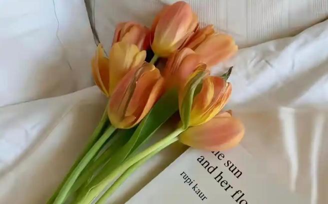 男人骨子里永远只追求年轻的肉体，如果男人选择一个并不年轻的女人，一定是迫于无奈。