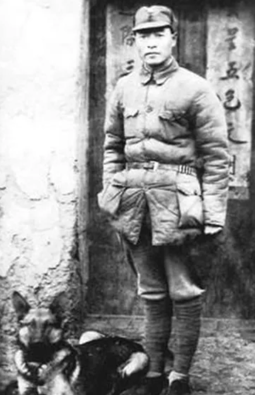 1939年，游击支队穷得只剩3块钱，为度过难关，彭雪枫忍痛卖掉了13匹战马，谁知
