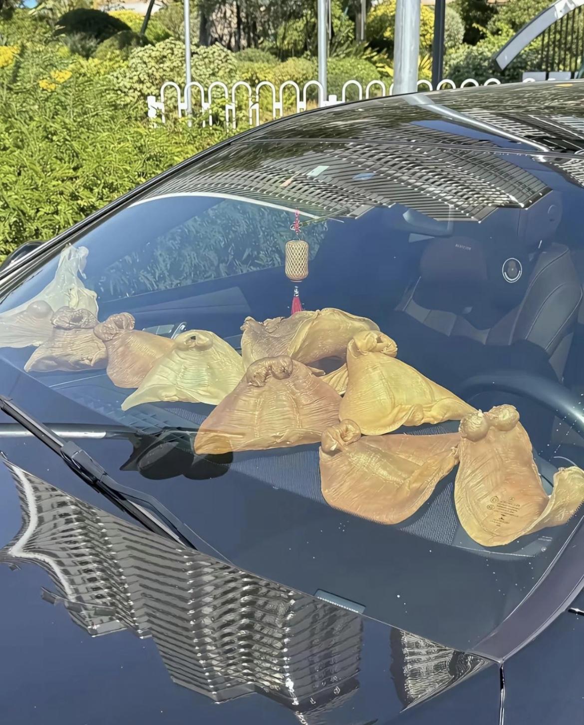 这炫富炫得我哑口无言[捂脸哭][捂脸哭][捂脸哭]