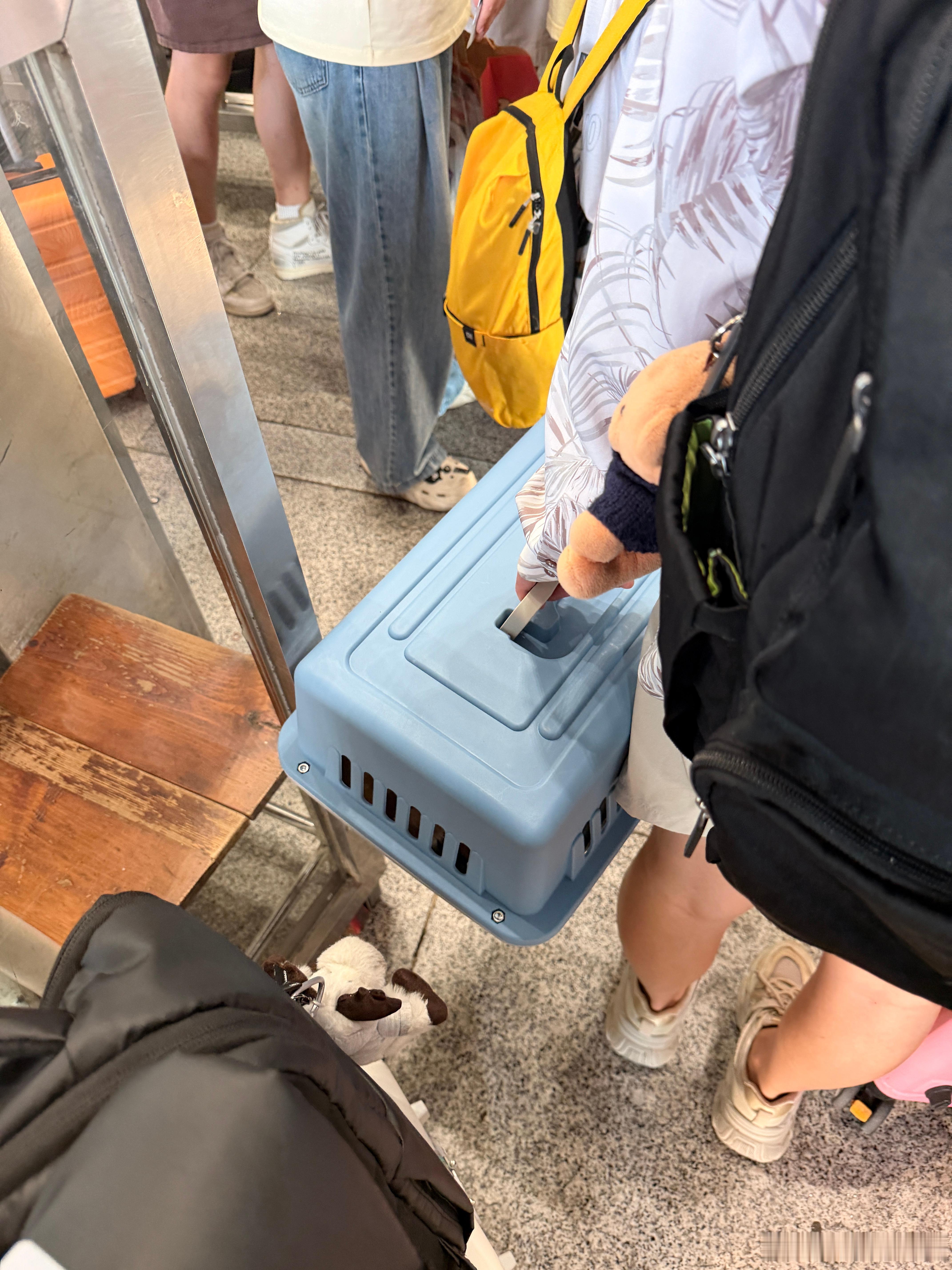 刚到高铁站发现一个女生拎着一个宠物箱，里面有只猫？？？出发前都不问问豆包吗，高铁