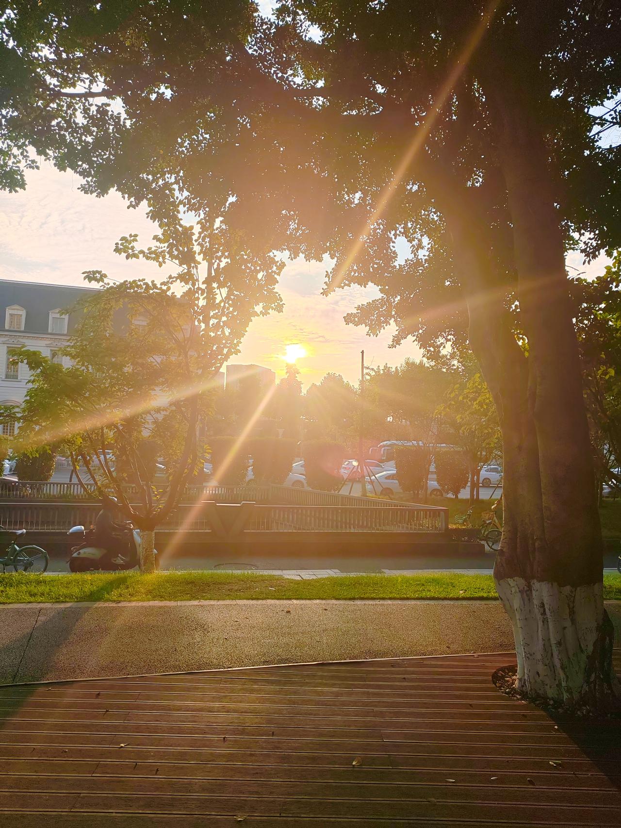夕阳西下，树影婆娑。大树天然画框，框住漫天落日霞光。细碎光线穿过枝叶倾泻而下，落