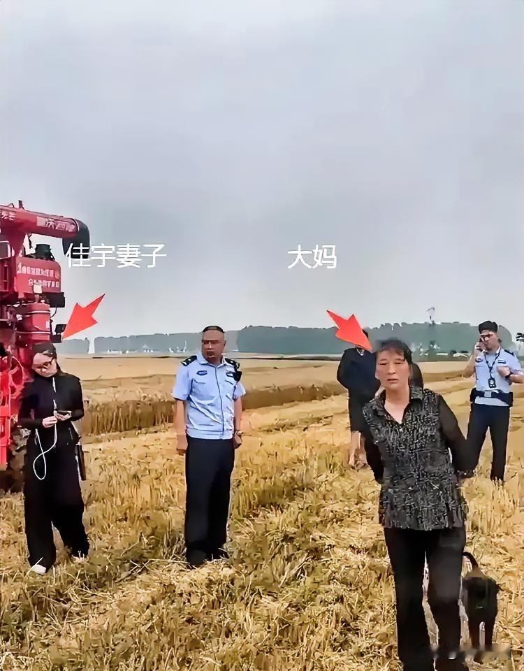 最近襄阳麦收的“割四赔五”事件，真的越看越气，越想越寒心！事情很简单：河南一
