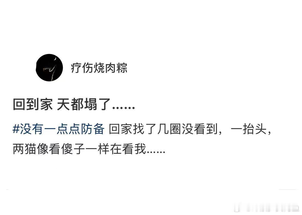 小猫只有在主人找它的时候最安静​​​