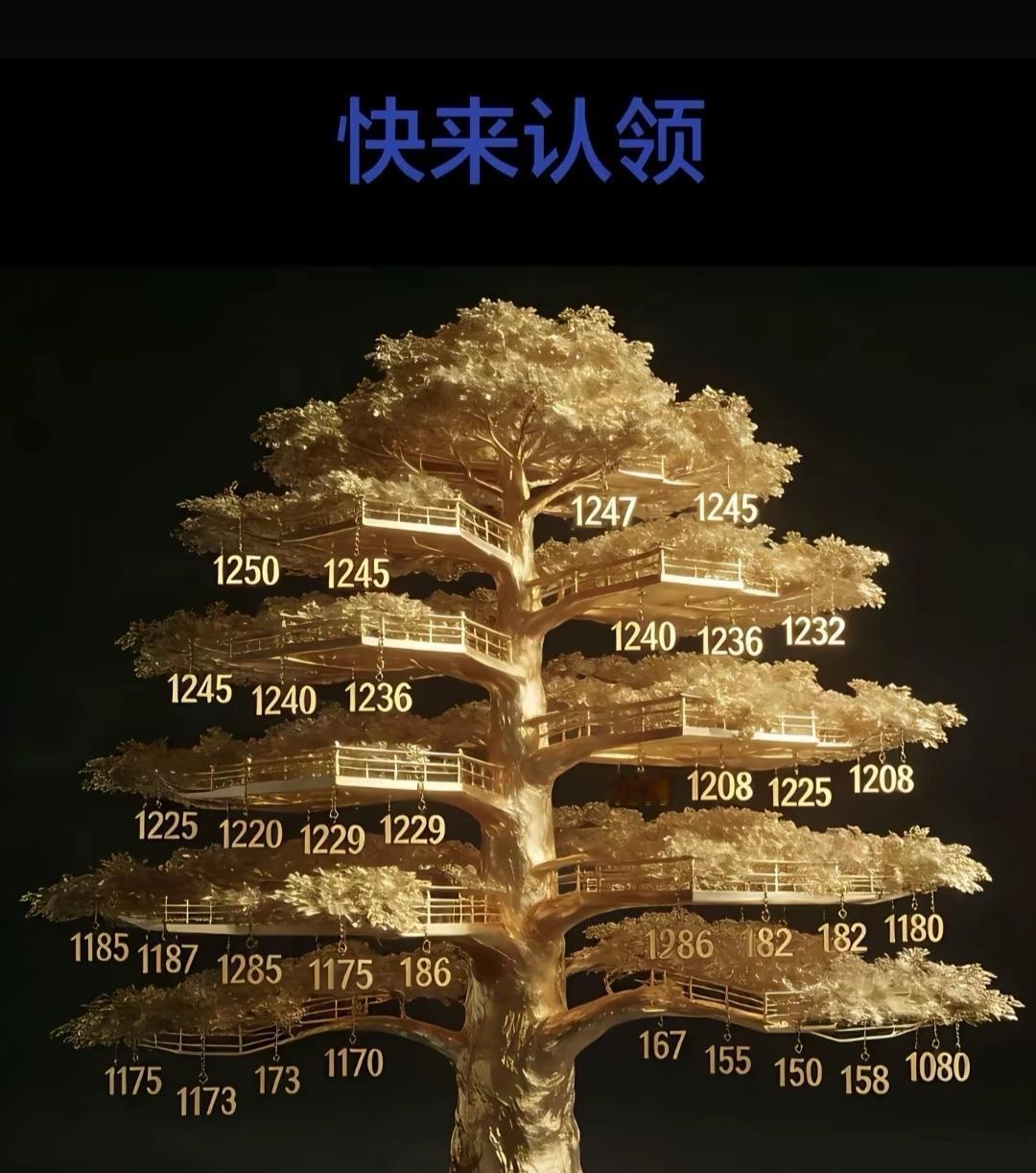 看看你们谁认识这棵树，你挂在了哪里？